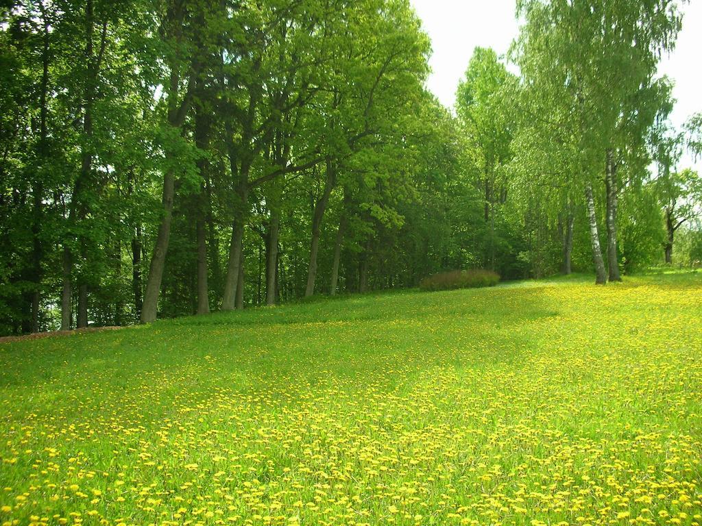 Holiday Home Dalderi Бирини Экстерьер фото