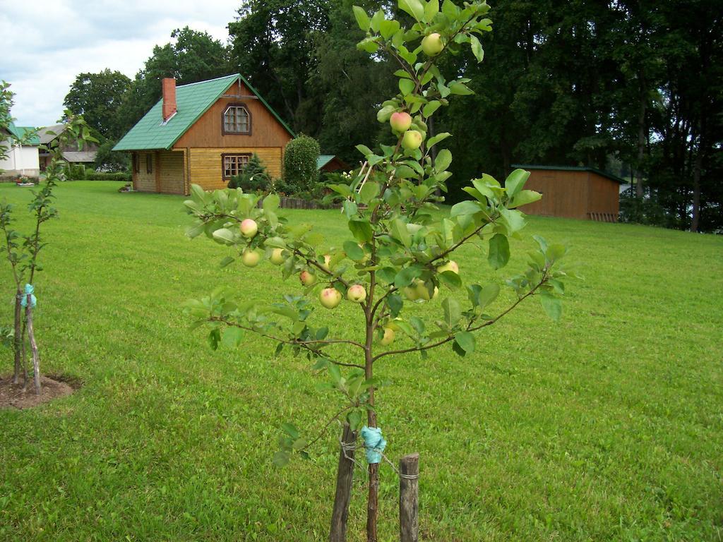 Holiday Home Dalderi Бирини Экстерьер фото